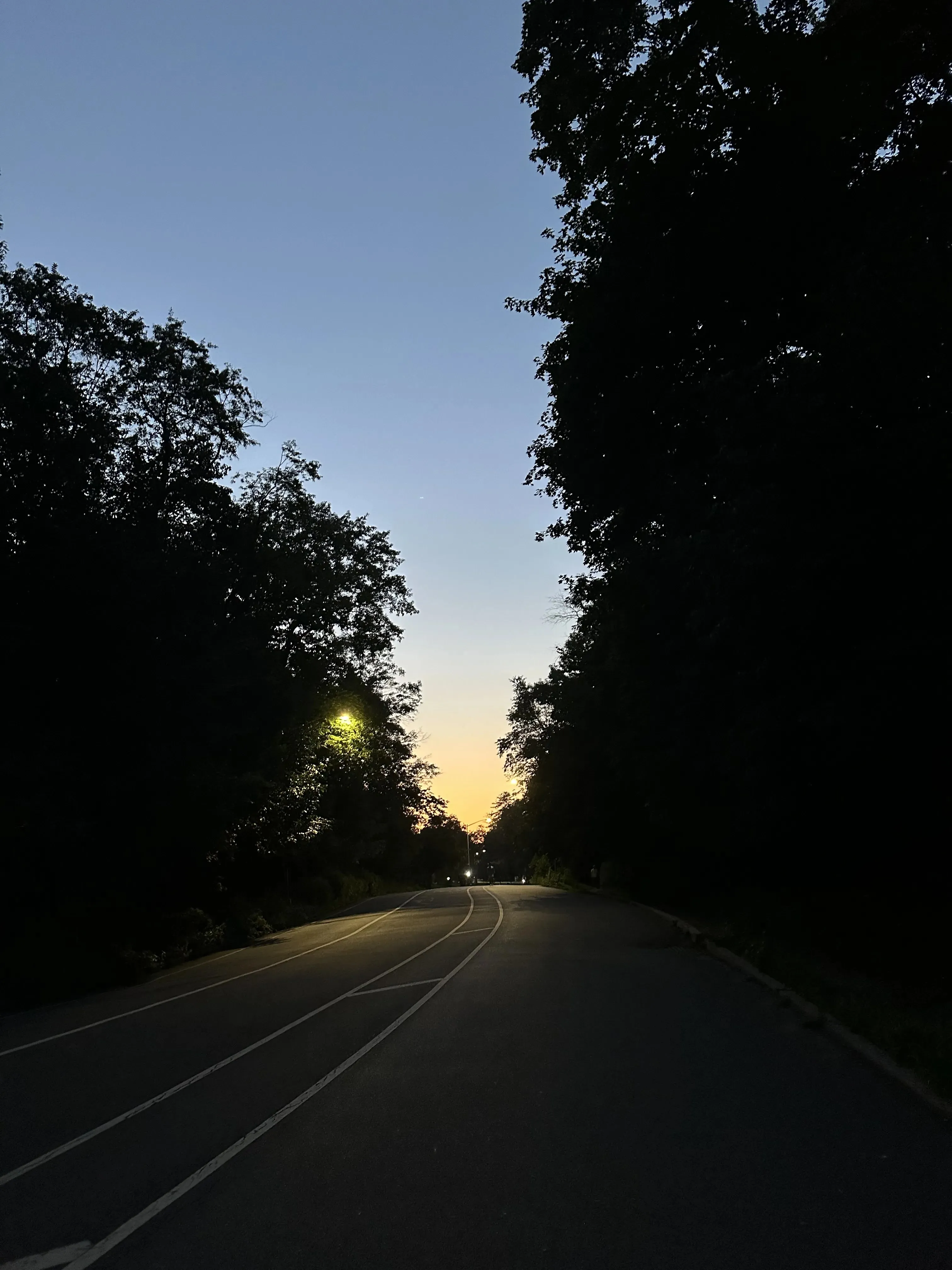 https://nick-pics.b-cdn.net/Prospect Park Loop