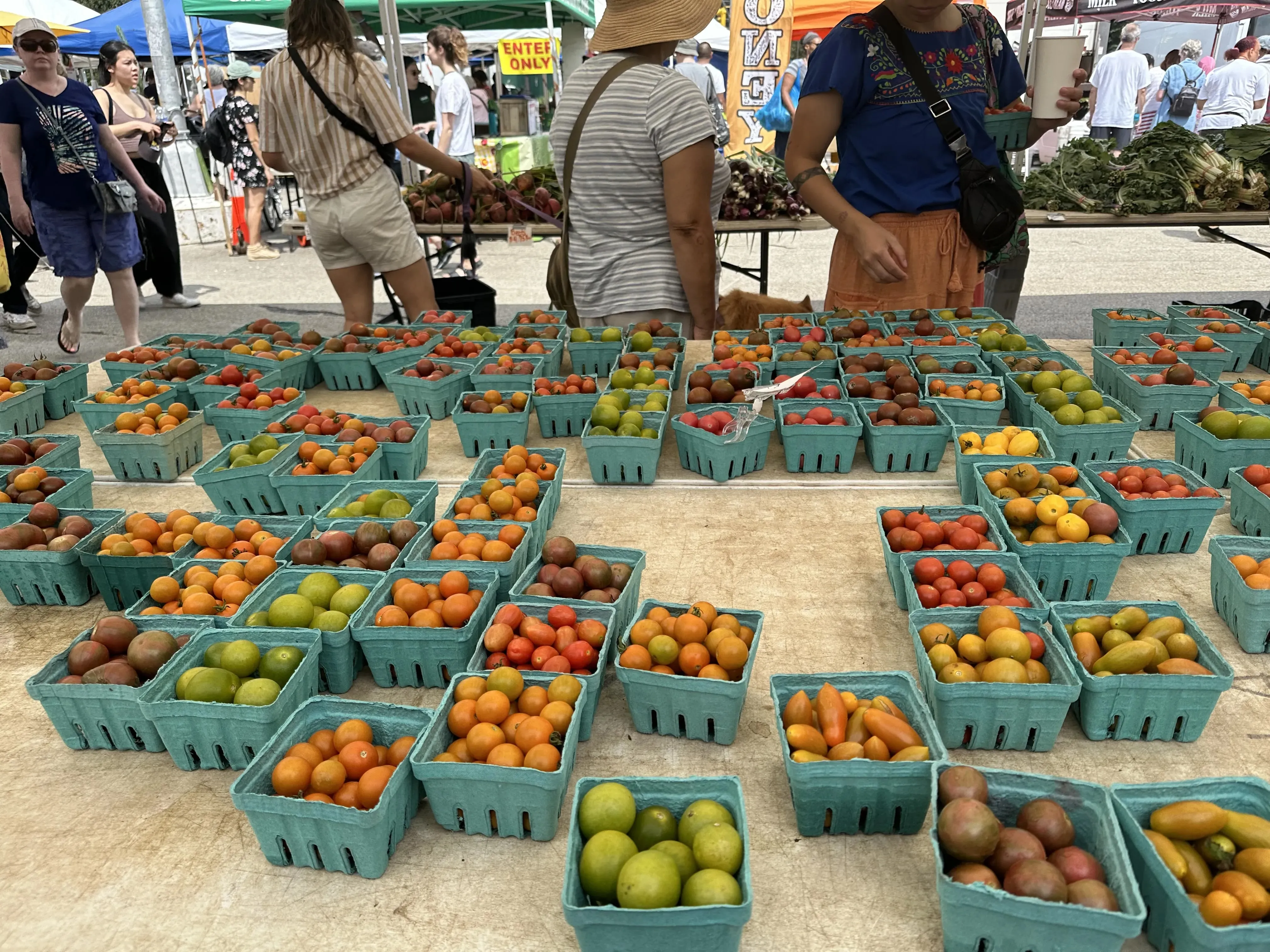 https://nick-pics.b-cdn.net/Farmers Market Tomatoes